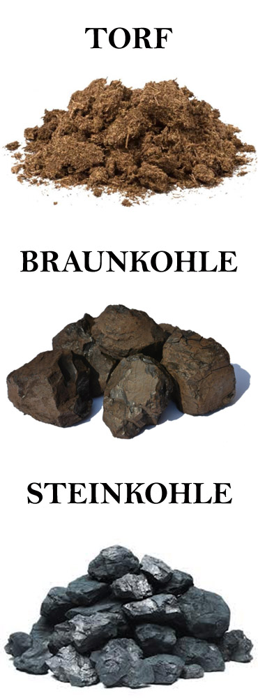 Inkohlung von Torf und Braunkohle zur Steinkohle